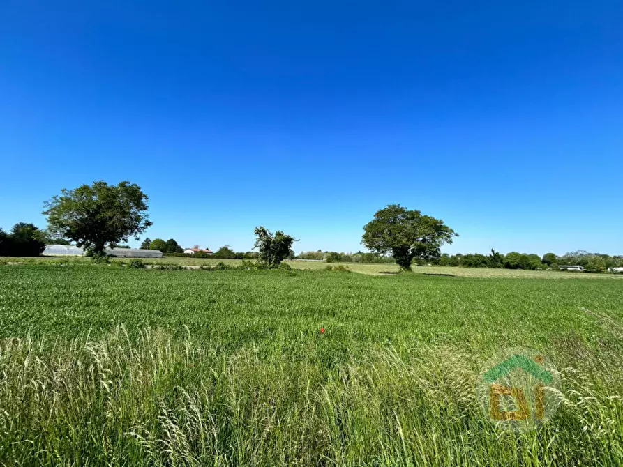 Immagine 9 di Terreno in vendita  in Via Fratelli Rosselli a Gradisca D'isonzo