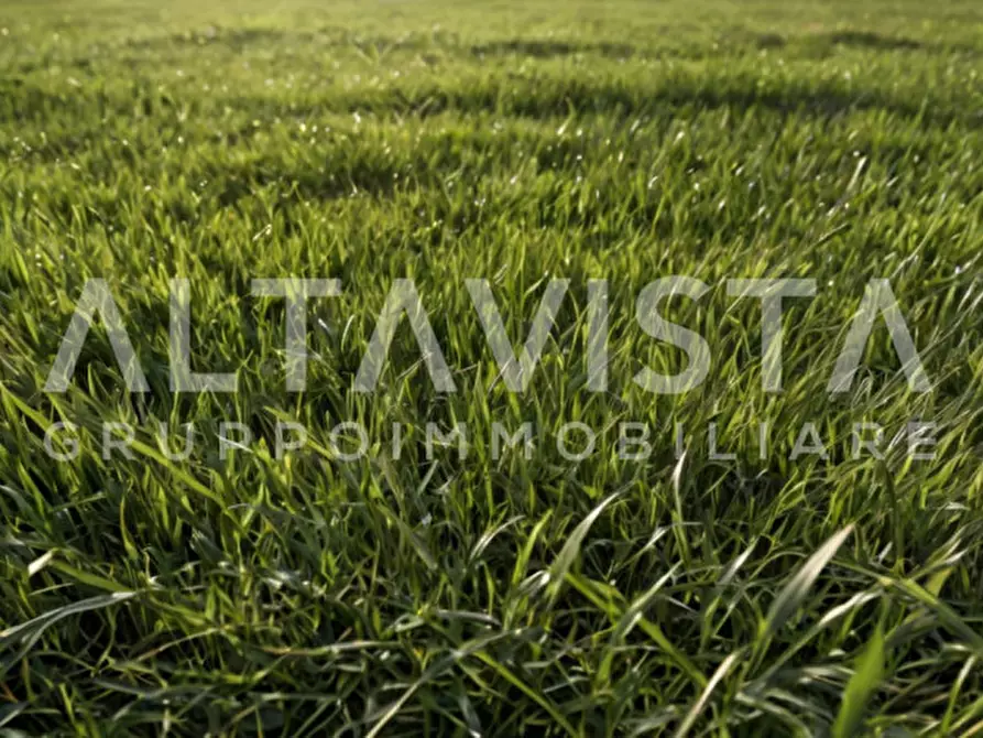 Immagine 26 di Terreno in vendita  in Via Canneto a Villanuova Sul Clisi