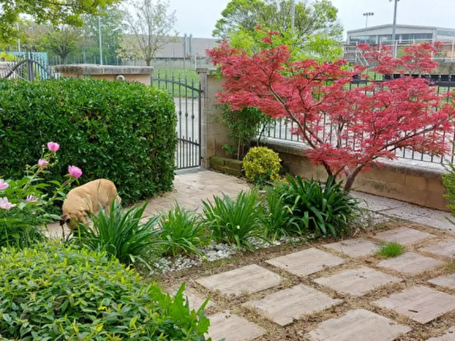 Immagine 40 di Casa indipendente in vendita  in Via Bacchi a Brescello