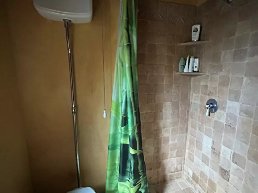 Immagine 11 di Villa in affitto  in strada del 33 a Capalbio