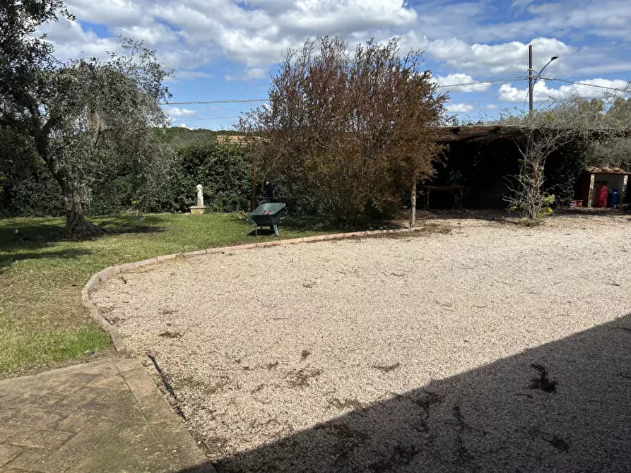 Immagine 17 di Villa in affitto  in strada del 33 a Capalbio