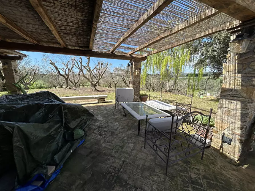 Immagine 18 di Villa in affitto  in strada del 33 a Capalbio