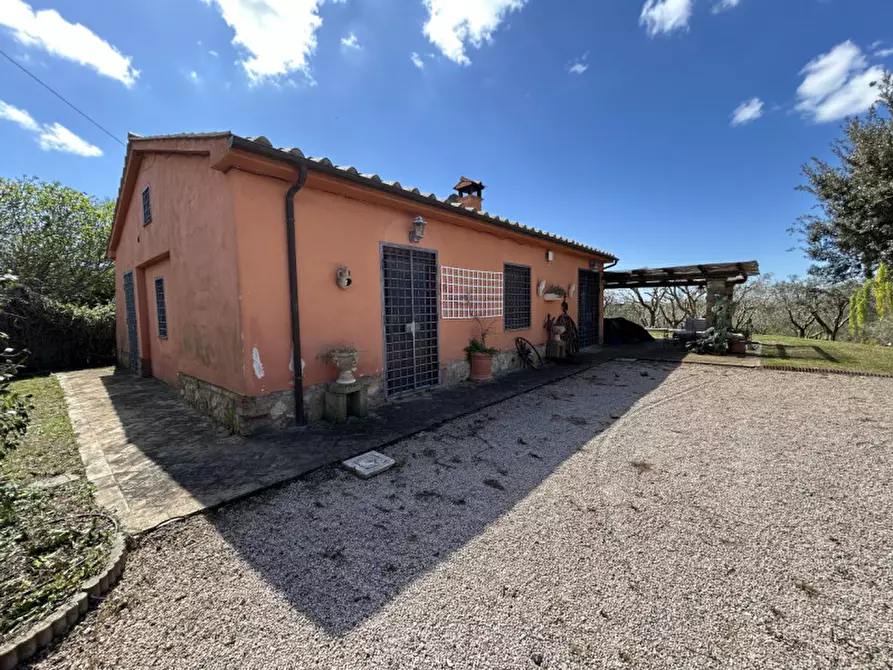 Immagine 22 di Villa in affitto  in strada del 33 a Capalbio