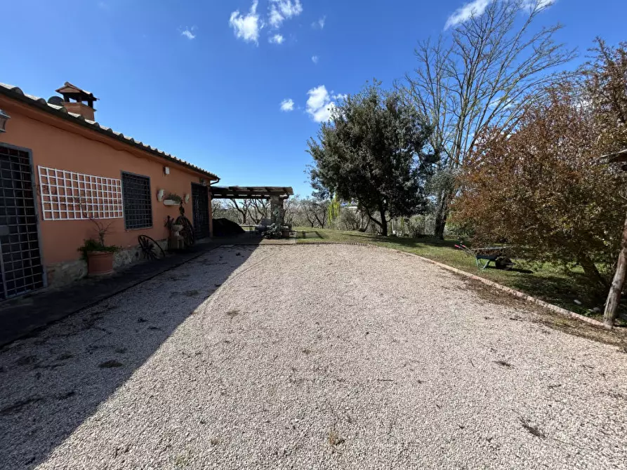 Immagine 23 di Villa in affitto  in strada del 33 a Capalbio