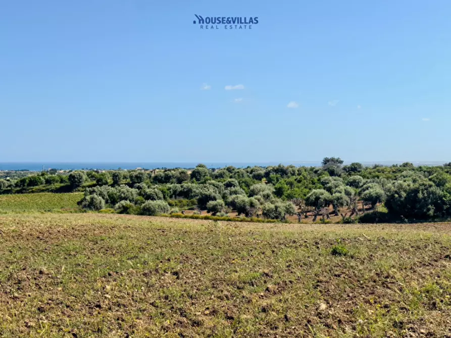 Immagine 4 di Terreno in vendita  in mammanelli a Avola