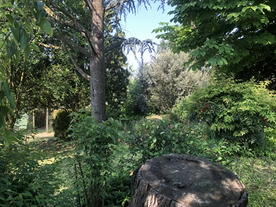 Immagine 11 di Rustico / casale in vendita  in Via Vallescura 36 a Conzano