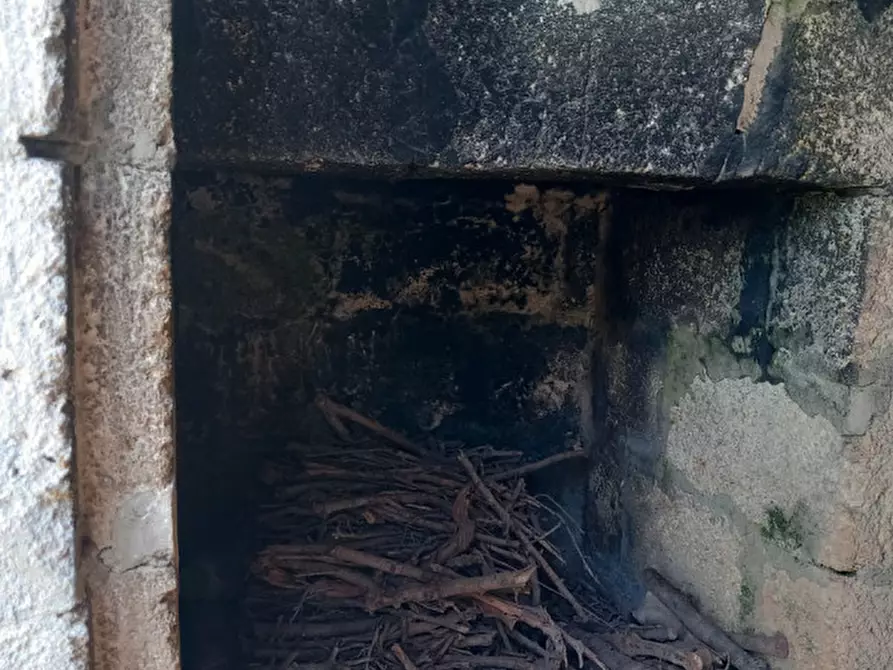 Immagine 6 di Rustico / casale in vendita  in C.da Madonna Piccola a Ceglie Messapico