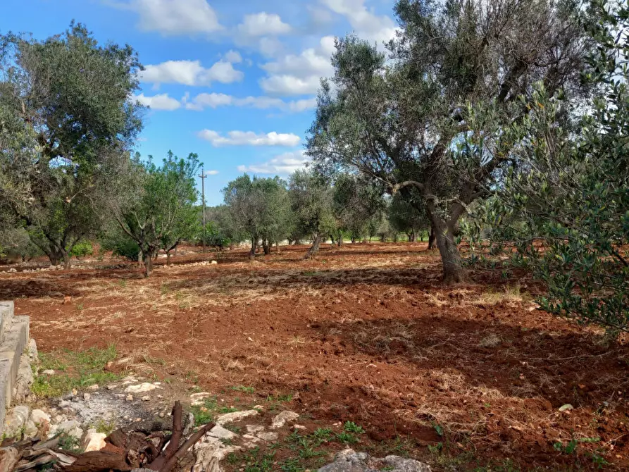 Immagine 12 di Rustico / casale in vendita  in C.da Madonna Piccola a Ceglie Messapico