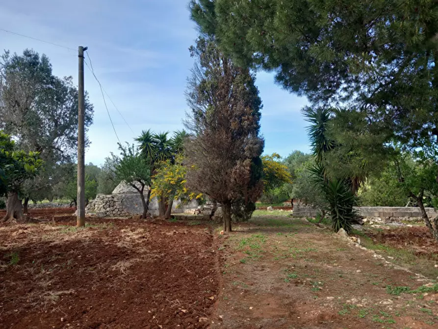 Immagine 15 di Rustico / casale in vendita  in C.da Madonna Piccola a Ceglie Messapico
