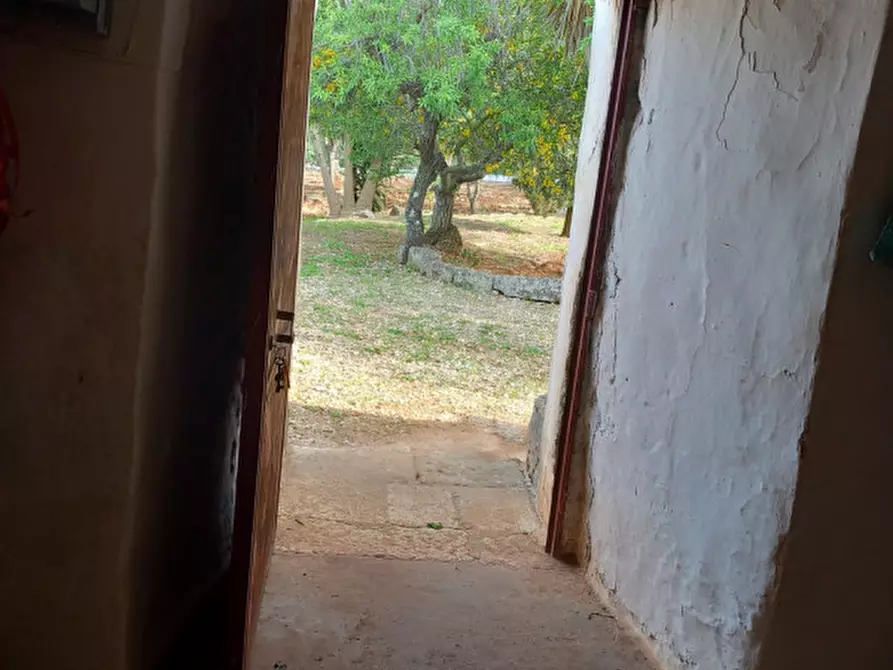 Immagine 21 di Rustico / casale in vendita  in C.da Madonna Piccola a Ceglie Messapico