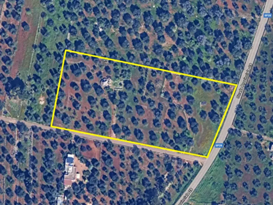 Immagine 23 di Rustico / casale in vendita  in C.da Madonna Piccola a Ceglie Messapico