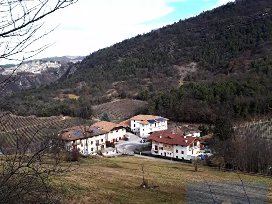 Immagine 9 di Terreno in vendita  in Via Al Castello a Ton