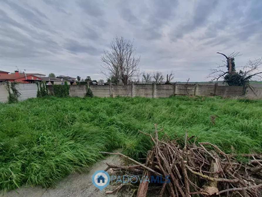 Immagine 3 di Casa bifamiliare in vendita  in Via Valchiesa 6 a Pozzonovo