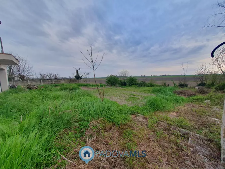 Immagine 11 di Casa bifamiliare in vendita  in Via Valchiesa 6 a Pozzonovo