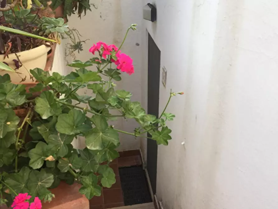 Immagine 23 di Appartamento in vendita  in contrada Botterio a Montauro