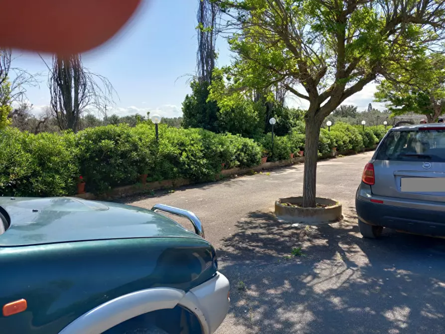 Immagine 4 di Villa in vendita  in C.da Grotta Miranda a Carovigno