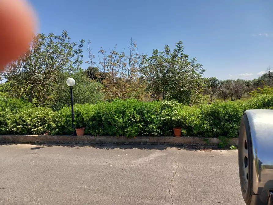 Immagine 6 di Villa in vendita  in C.da Grotta Miranda a Carovigno