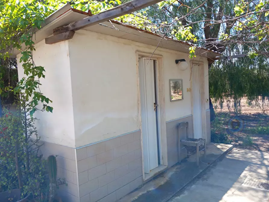 Immagine 12 di Villa in vendita  in C.da Grotta Miranda a Carovigno