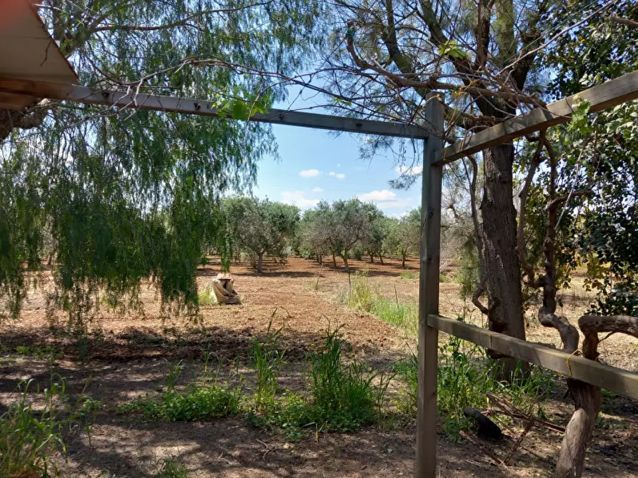 Immagine 13 di Villa in vendita  in C.da Grotta Miranda a Carovigno
