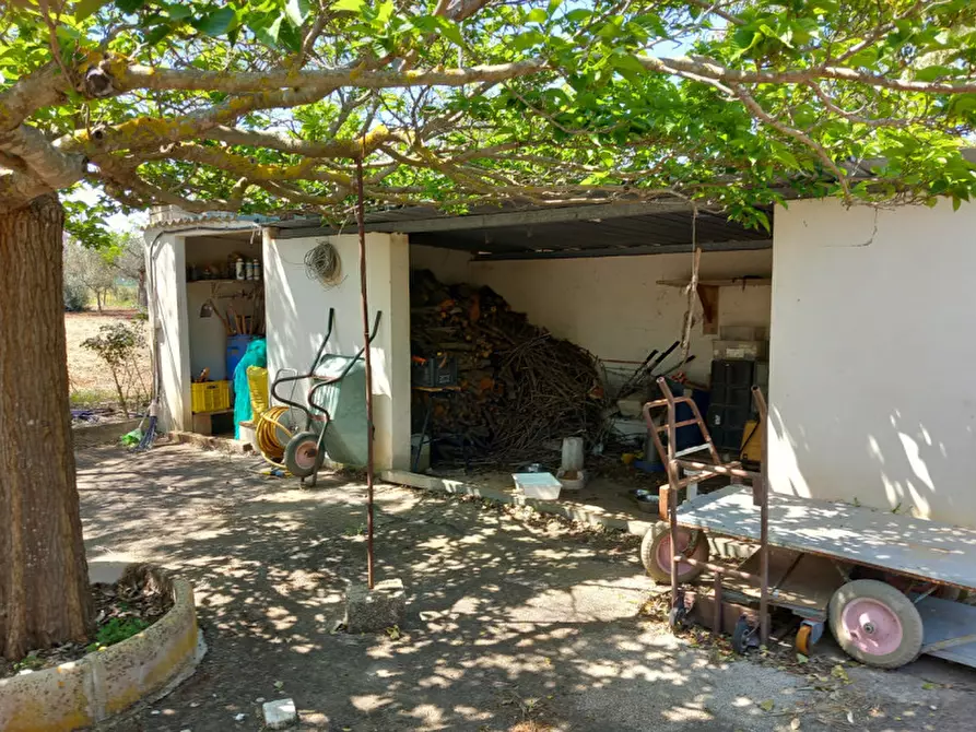 Immagine 16 di Villa in vendita  in C.da Grotta Miranda a Carovigno