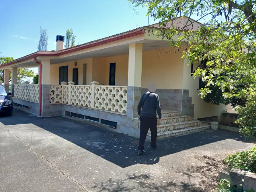 Immagine 19 di Villa in vendita  in C.da Grotta Miranda a Carovigno