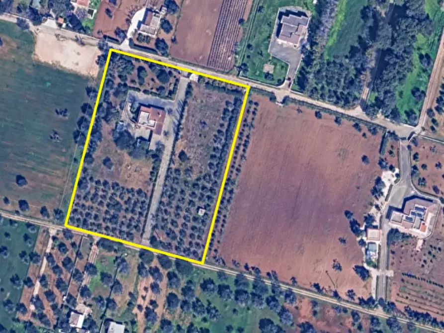 Immagine 47 di Villa in vendita  in C.da Grotta Miranda a Carovigno