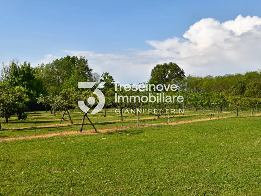 Immagine 70 di Villa in vendita  in Via Sant'Elena a Silea