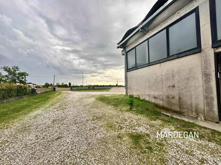 Immagine 2 di Capannone industriale in vendita  in Via Papa Luciani a San Martino Di Lupari