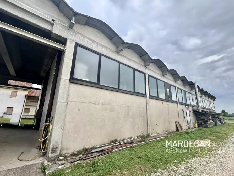 Immagine 4 di Capannone industriale in vendita  in Via Papa Luciani a San Martino Di Lupari
