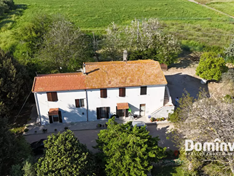 Immagine 8 di Rustico / casale in vendita  in Selva nera a Capalbio