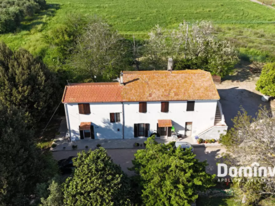 Immagine 9 di Rustico / casale in vendita  in Selva nera a Capalbio