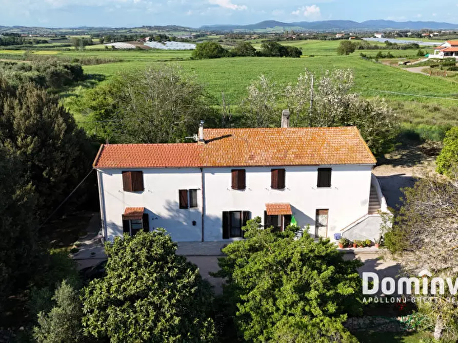 Immagine 10 di Rustico / casale in vendita  in Selva nera a Capalbio