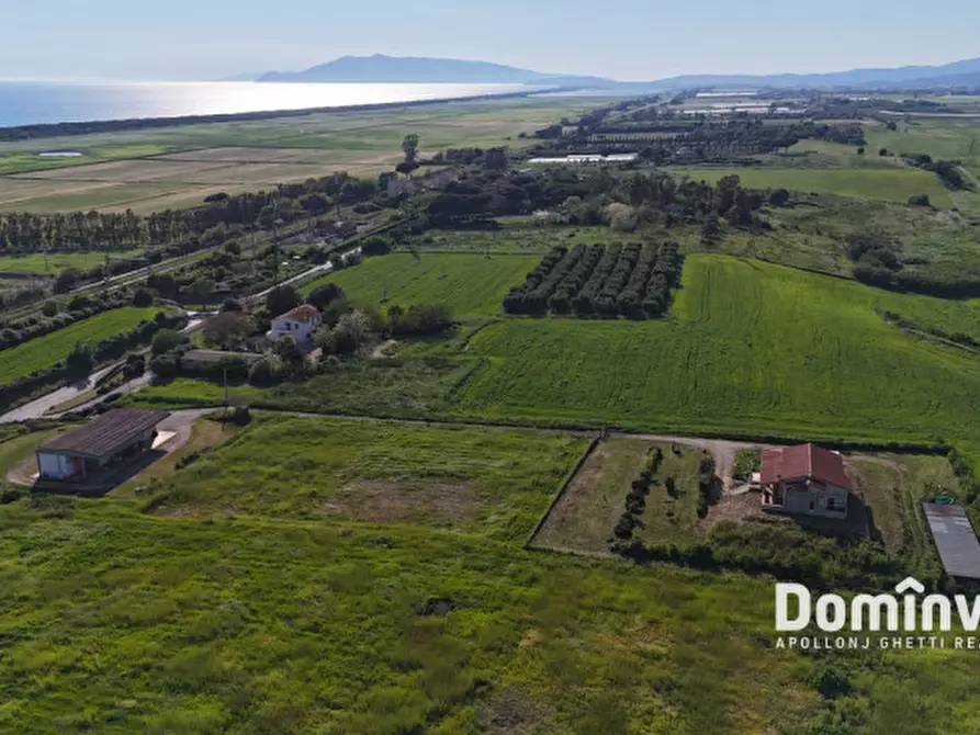 Immagine 12 di Rustico / casale in vendita  in Selva nera a Capalbio