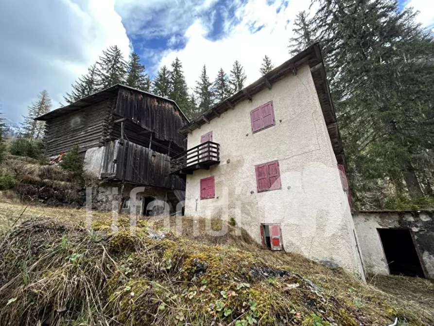Immagine 2 di Casa indipendente in vendita  in Penia a Canazei