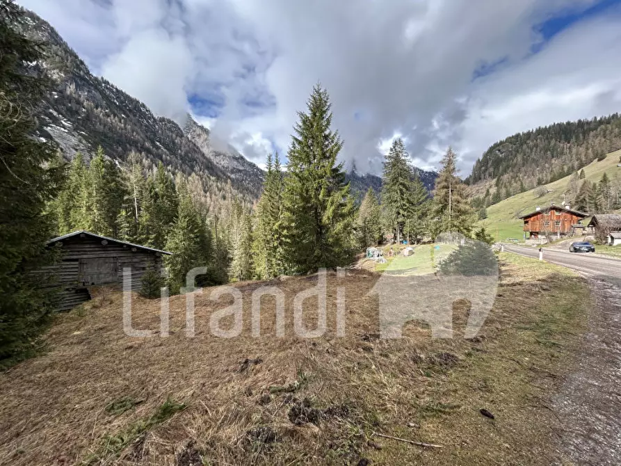 Immagine 6 di Casa indipendente in vendita  in Penia a Canazei