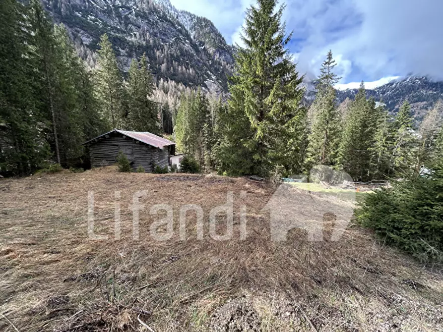 Immagine 7 di Casa indipendente in vendita  in Penia a Canazei