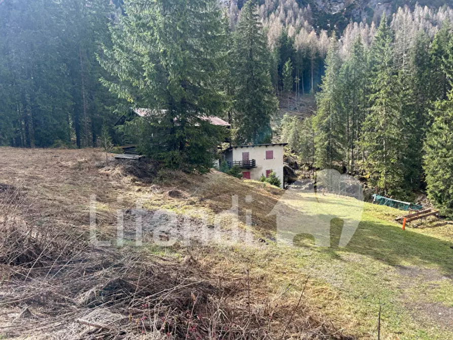 Immagine 8 di Casa indipendente in vendita  in Penia a Canazei