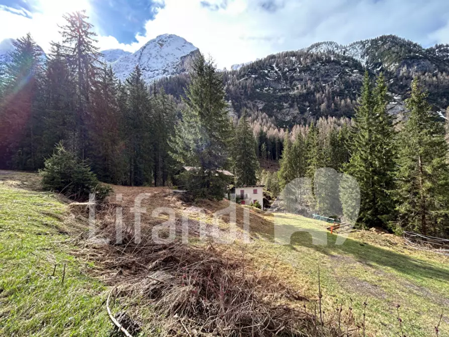 Immagine 9 di Casa indipendente in vendita  in Penia a Canazei