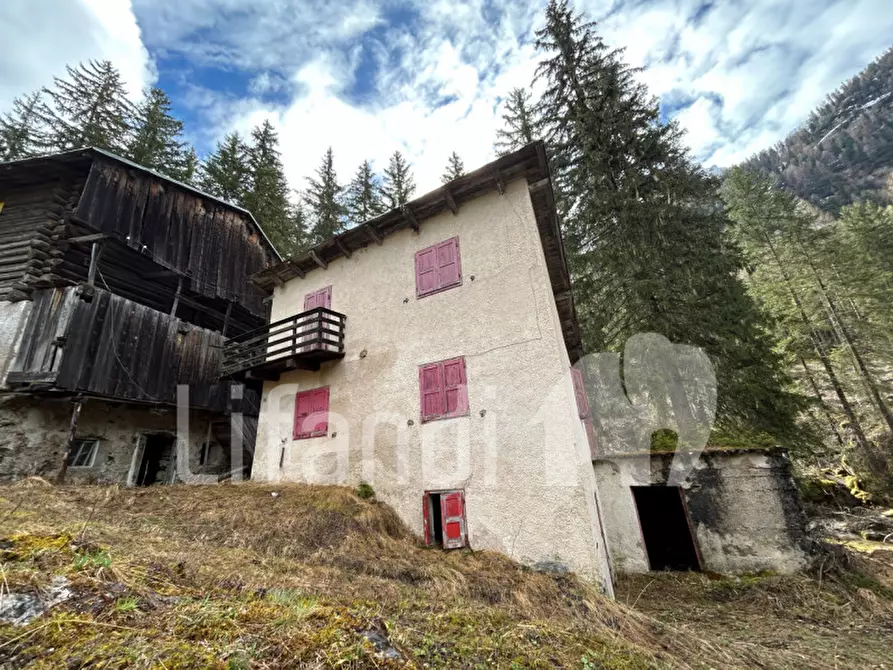 Immagine 11 di Casa indipendente in vendita  in Penia a Canazei