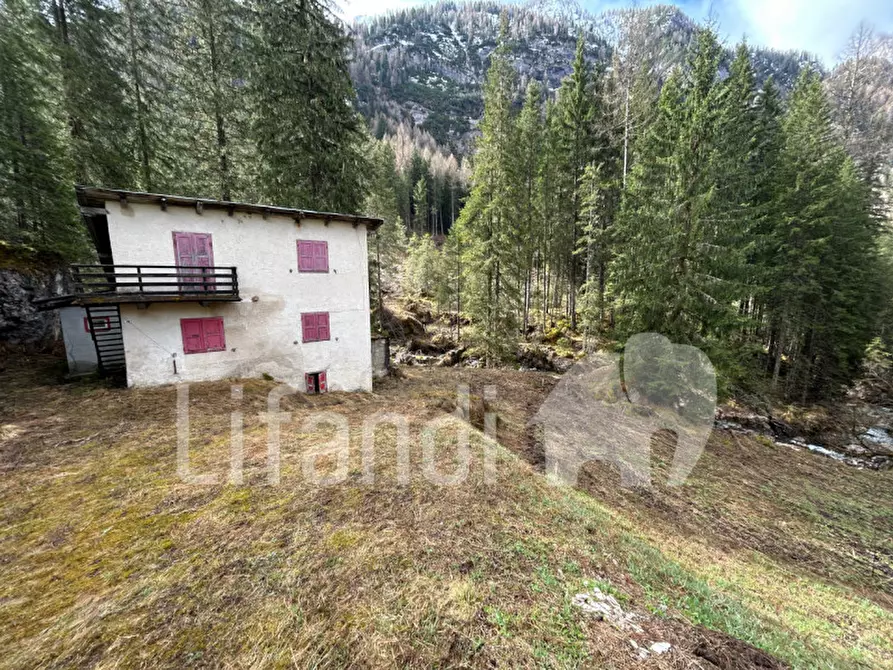 Immagine 14 di Casa indipendente in vendita  in Penia a Canazei