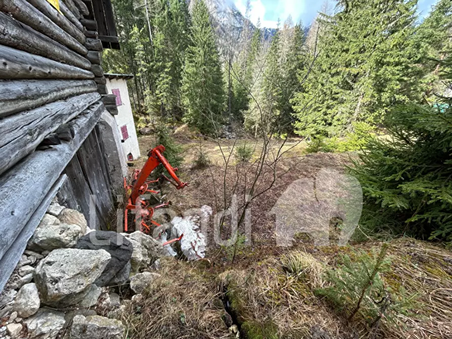 Immagine 16 di Casa indipendente in vendita  in Penia a Canazei