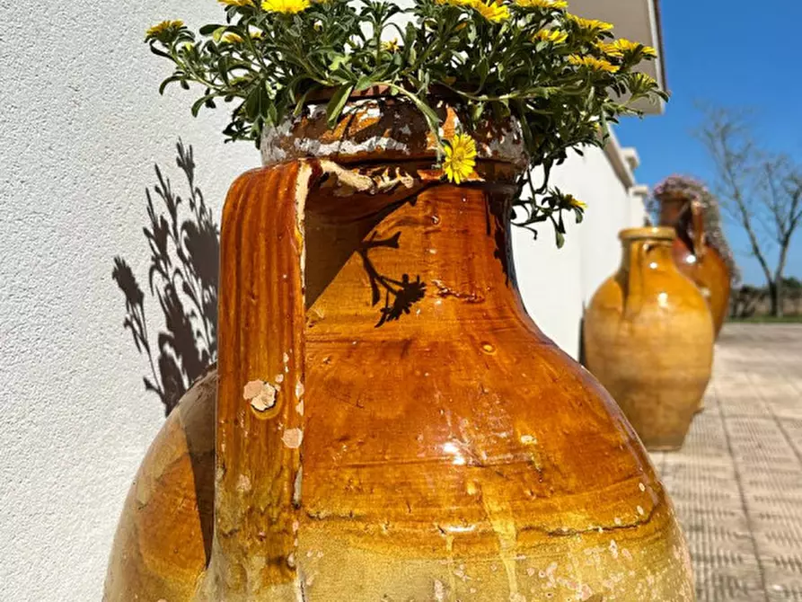 Immagine 46 di Villa in vendita  in strada vaccara a Martina Franca