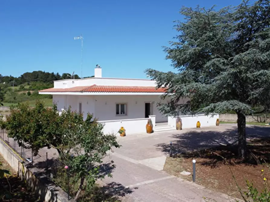 Immagine 47 di Villa in vendita  in strada vaccara a Martina Franca