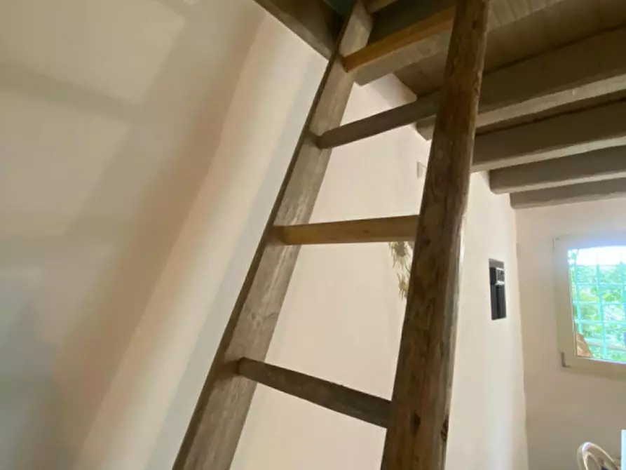 Immagine 13 di Rustico / casale in vendita  a Caltrano