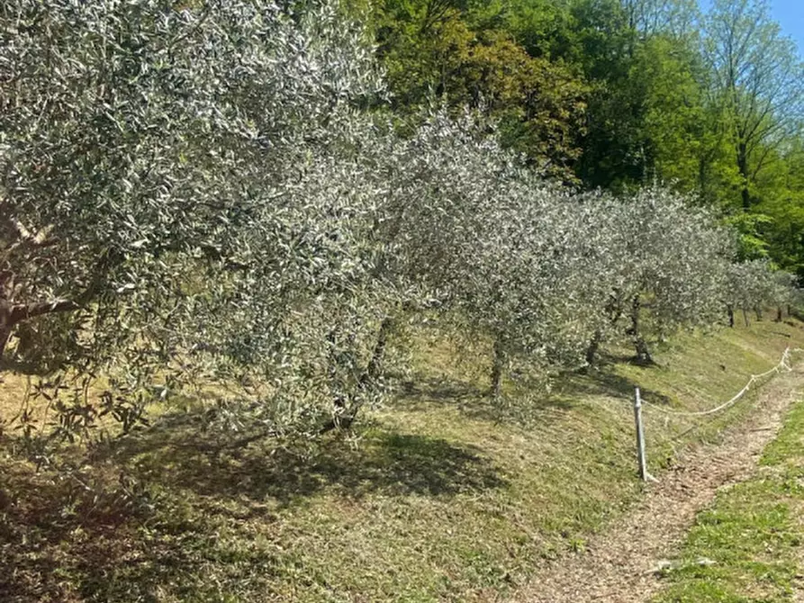 Immagine 17 di Rustico / casale in vendita  a Caltrano