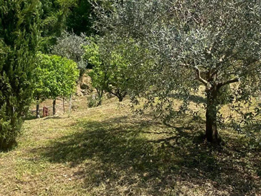 Immagine 18 di Rustico / casale in vendita  a Caltrano