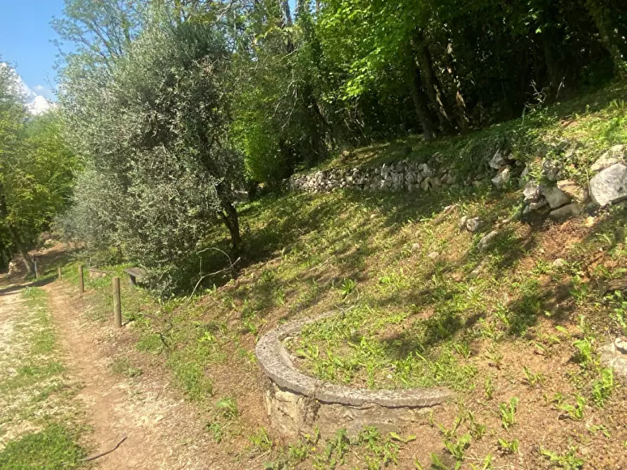 Immagine 21 di Rustico / casale in vendita  a Caltrano