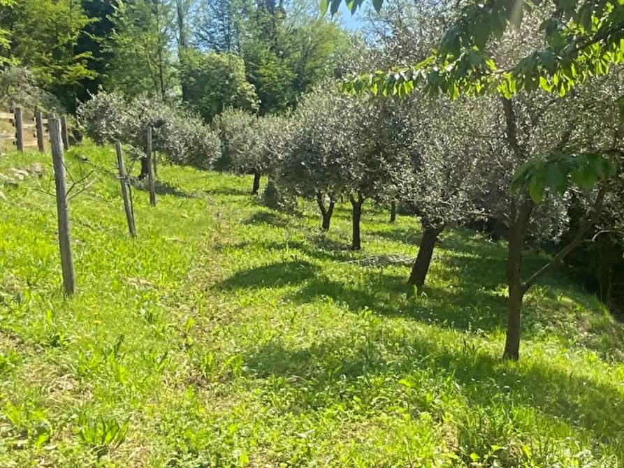 Immagine 1 di Rustico / casale in vendita  a Caltrano