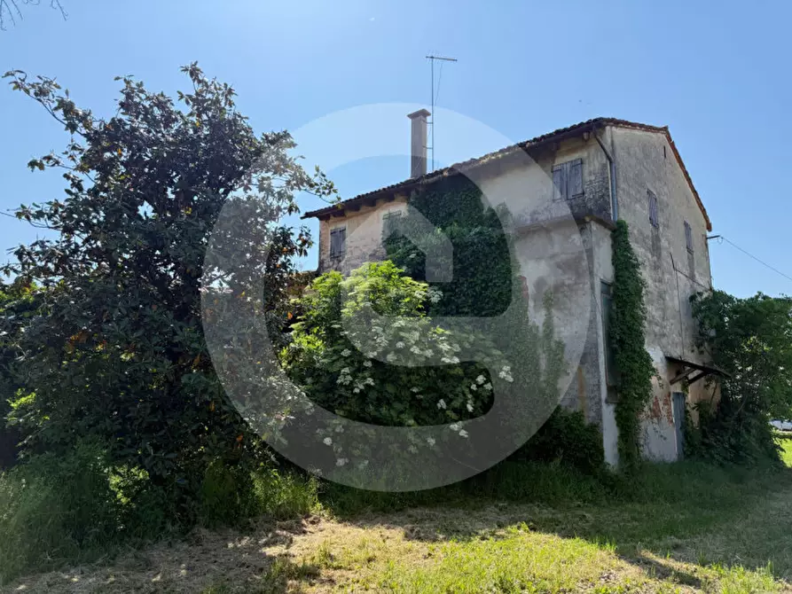 Immagine 4 di Rustico / casale in vendita  in Via Pitoche a Camposampiero