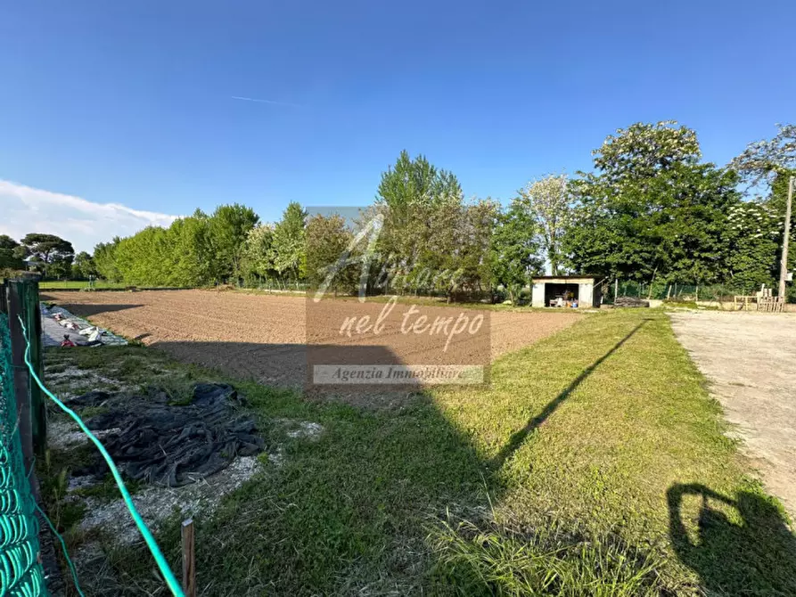 Immagine 3 di Terreno in vendita  in Via A. Bigolino a Cittadella